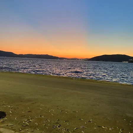 εν αγρια Agria