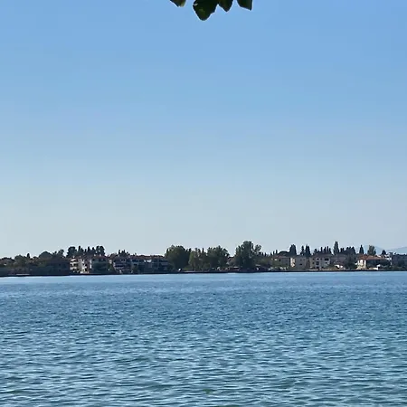 εν αγρια * Agria